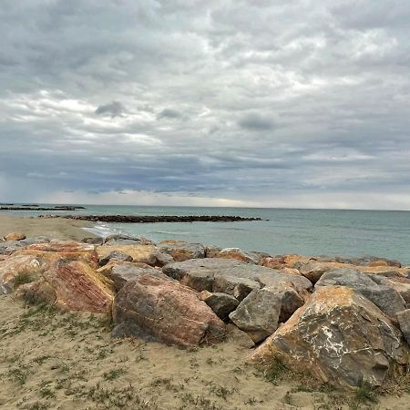 Port Barcares Vue Port Et Mer Le Barcarès المظهر الخارجي الصورة