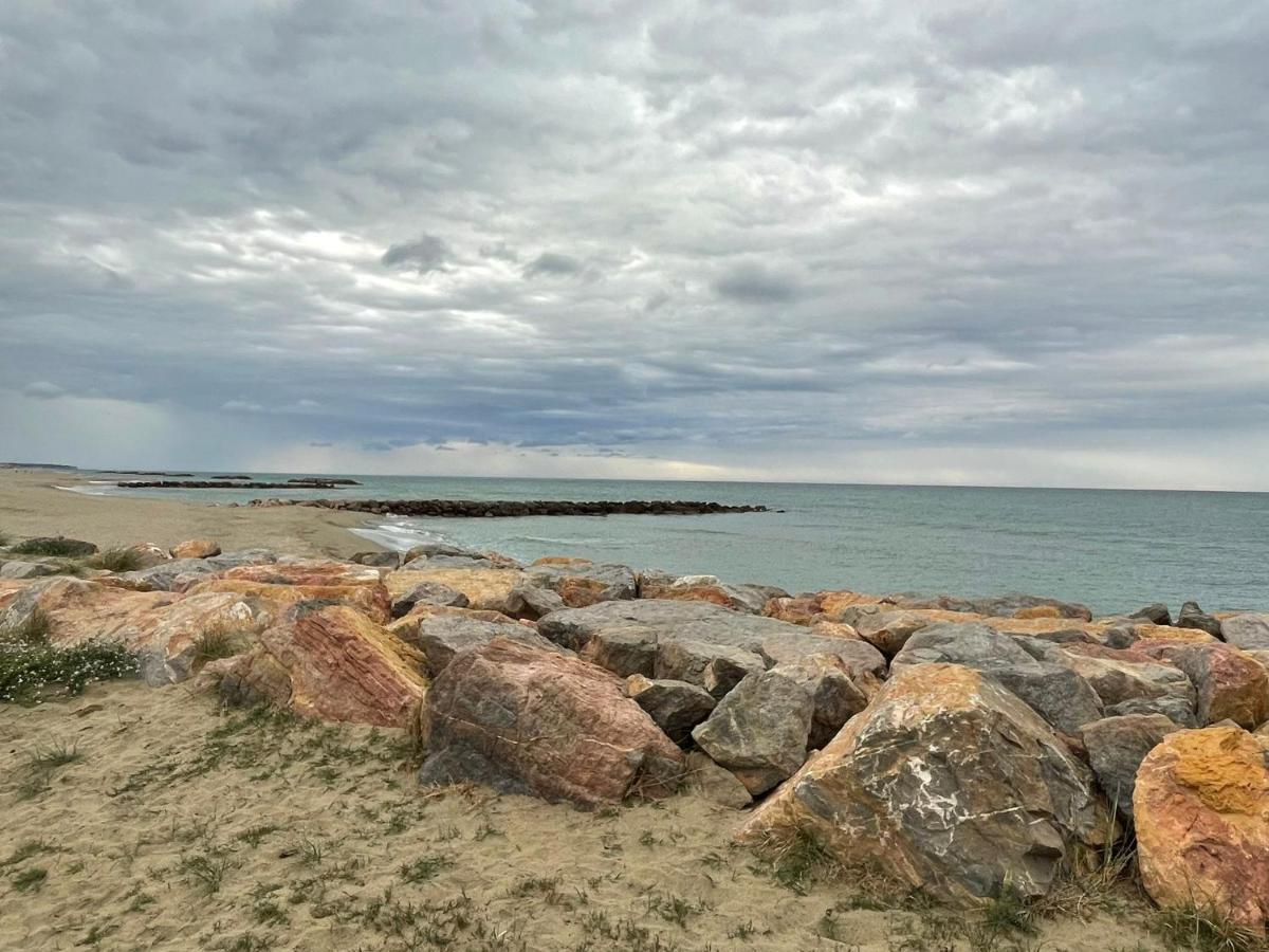Port Barcares Vue Port Et Mer Le Barcarès المظهر الخارجي الصورة